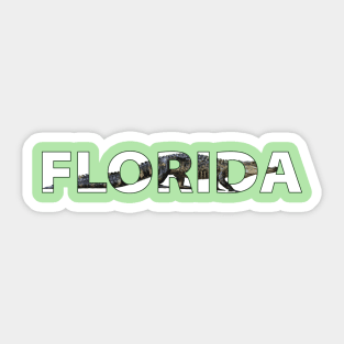 Florida Monster Alligator Travel T-shirt Sticker